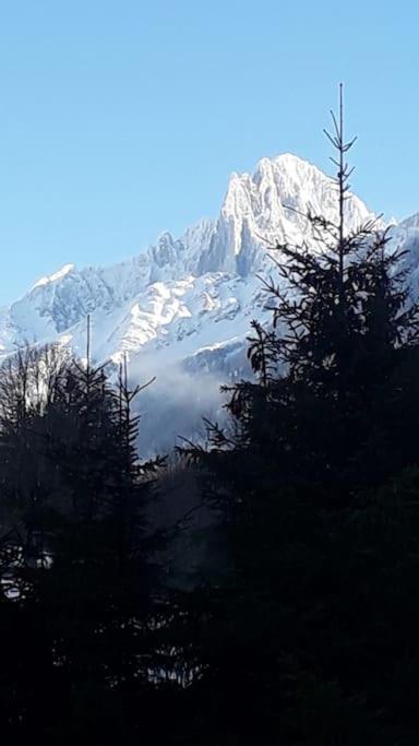Chalet Les Charmilles - Vallee De Chamonix - 5 Chambres Les Houches Exterior foto